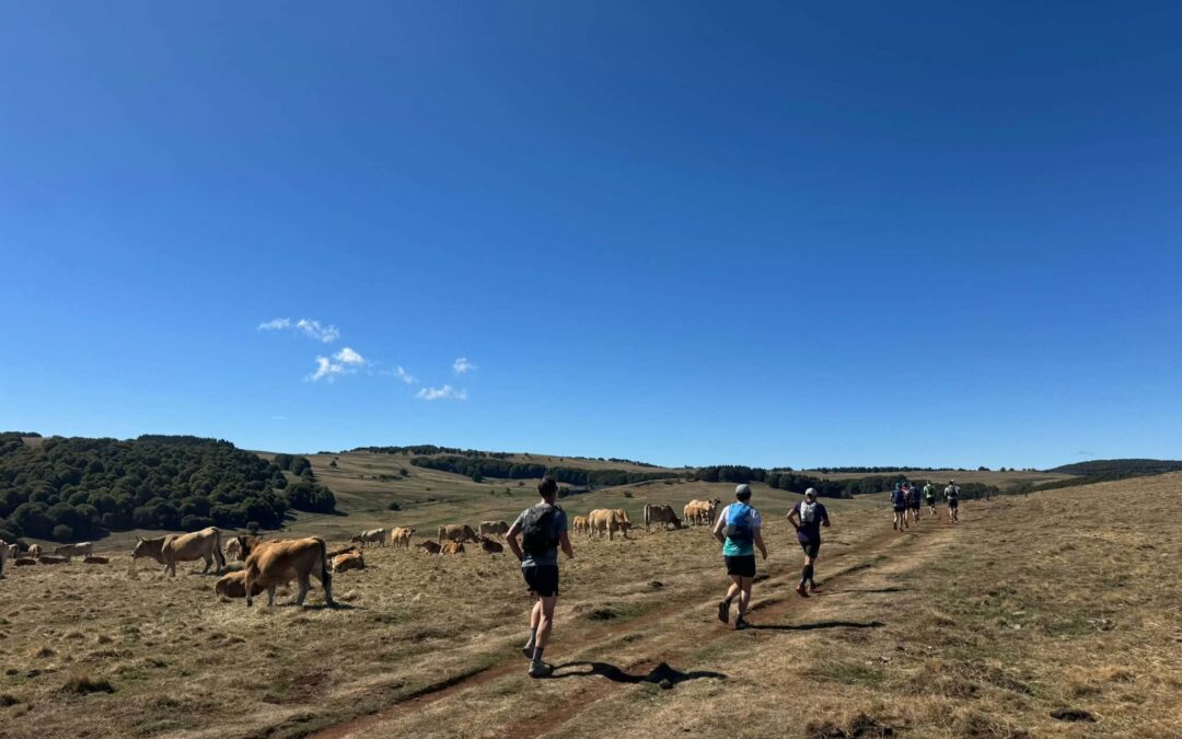 Stage Trail Chemin de Saint-Jacques-de-Compostelle : Jour 1